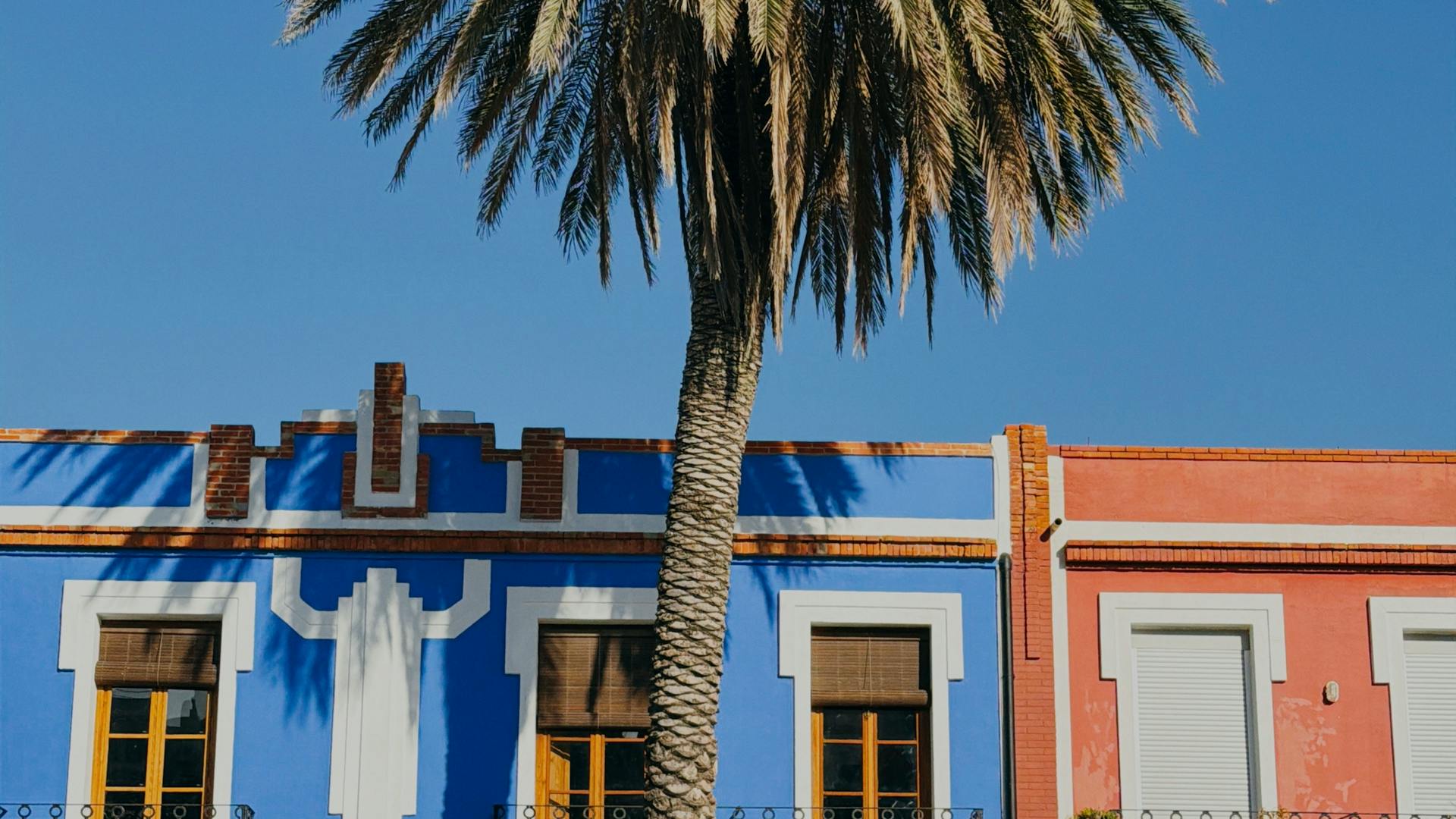 pexels-photo-34630415